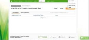 Пошаговая инструкция по использованию Сбербанк Бизнес Онлайн