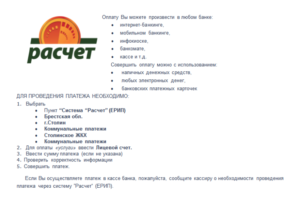 Платеж ЕРИП через интернет: что такое система Расчет