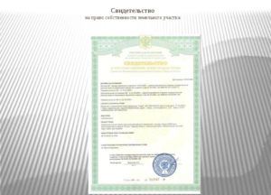 Образец сертификата на право собственности