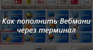 Как положить деньги на Вебмани через терминал