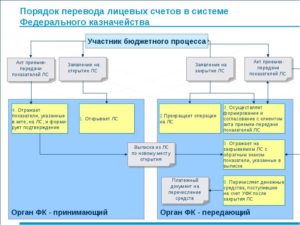 Открытие лицевого счета в банке