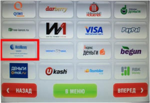 Как положить деньги на Paypal: через Qiwi, с карты Сбербанка