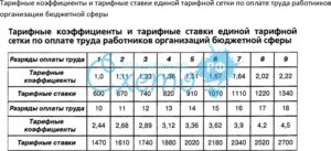 Оклад и тарифная ставка: в чем разница