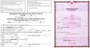 Свидетельство о смерти