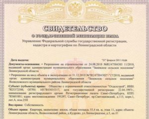 Образец свидетельства подтверждающего право собственности