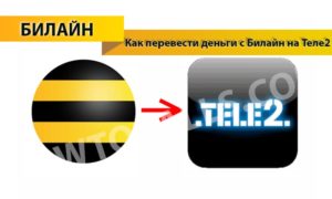 Как перевести деньги с Билайна на Теле2