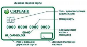 Где смотреть номер карты Сбербанка