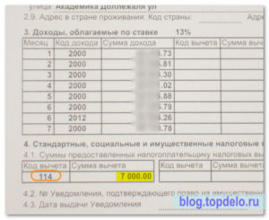 Код вычета 114 в справке 2-НДФЛ: что это