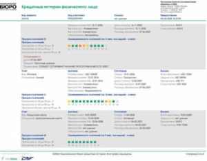 Что такое БКИ в кредитной истории