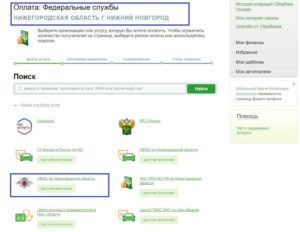 Как оплатить через Сбербанк Онлайн госпошлину: инструкция