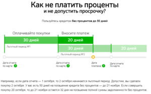 Как пользоваться кредитной картой Сбербанка: правила