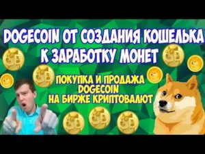 Главные особенности Dogecoin: курс, создание кошелька, заработок