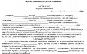 Квартира в счет уплаты алиментов