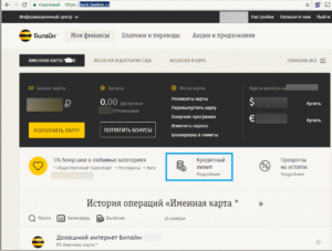 Виртуальная карта Билайн: как создать