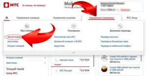 Способы быстрого пополнения Яндекс.Деньги через телефон МТС