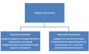 Кредитная линия это: возобновляемая и невозобновляемая