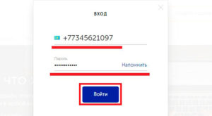 QIWI-кошелек в Казахстане: регистрация через интернет