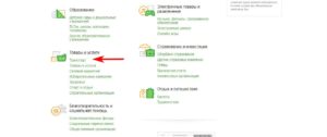 Как пополнить Подорожник через Сбербанк онлайн