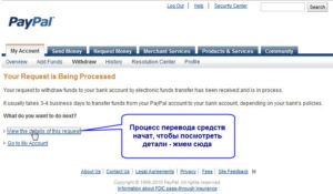 Данные paypal