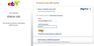 Что можно оплатить через PayPal