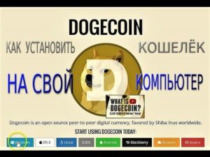 Главные особенности Dogecoin: курс, создание кошелька, заработок