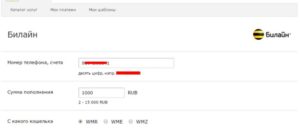Как оплатить интернет Билайн через Сбербанк Онлайн, терминал или с телефона