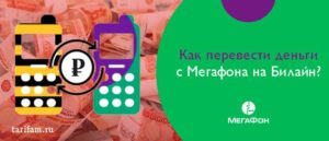 Как перевести деньги с Мегафона на Билайн