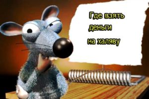 Как получить деньги на халяву