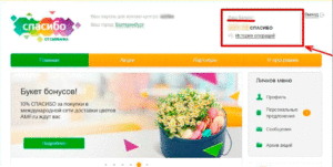 Как проверить бонусы Спасибо от Сбербанка: способы