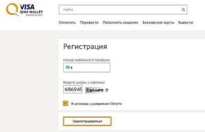 Как пополнить QIWI кошелек с мобильного, инструкция