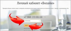 Как проверить мой баланс интернета