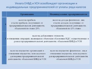 Упрощенка или вмененка: что выгоднее для ИП