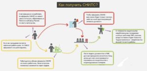 Как получить СНИЛС на ребенка: какие документы нужны