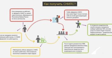 Как получить СНИЛС на ребенка: какие документы нужны