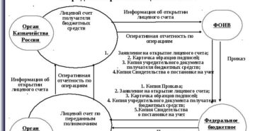Как открыть счет в казначействе юридическому лицу