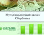 Мультивалютный вклад Сбербанка России