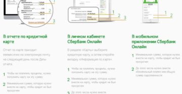 Дата формирования отчета по кредитной карте Сбербанка