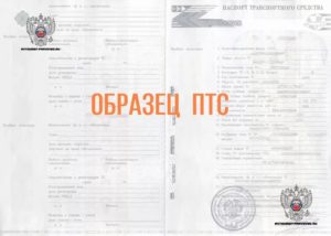 Образец паспорта транспортного средства