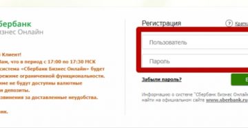 Пошаговая инструкция по использованию Сбербанк Бизнес Онлайн