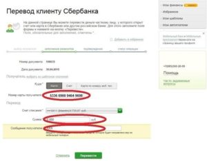 Где взять карту в Украине для накопления средств и расчета в магазине?