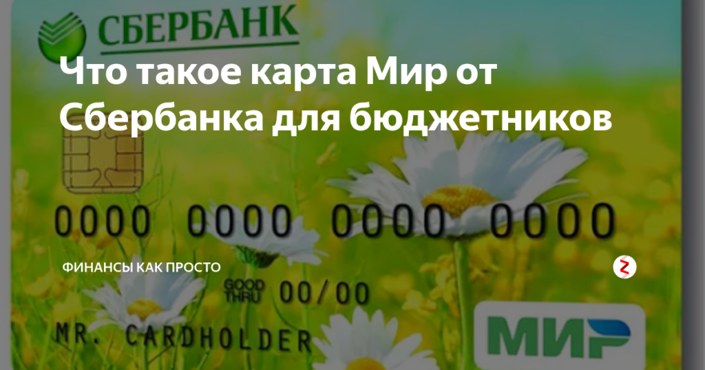 Что такое карта Мир от Сбербанка для бюджетников