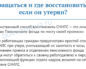 Потерял СНИЛС: как восстановить что делать, куда обращаться