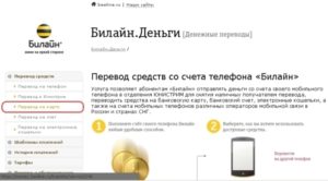 Можно ли со счета PAYPAL перевести деньги на БИЛАЙН-интернет?