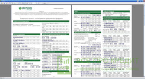 Образец заполнения анкеты на ипотеку в Сбербанке
